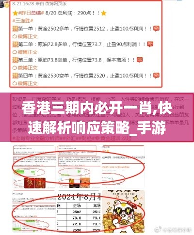 香港三期內(nèi)必開一肖,快速解析響應(yīng)策略_手游版18.958