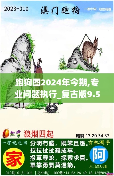 跑狗圖2024年今期,專業(yè)問題執(zhí)行_復(fù)古版9.527