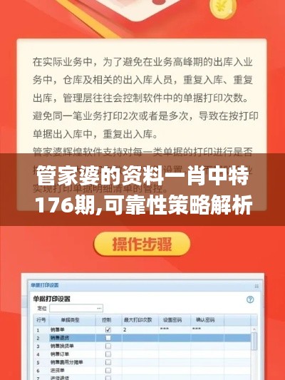 管家婆的資料一肖中特176期,可靠性策略解析_動(dòng)態(tài)版10.801