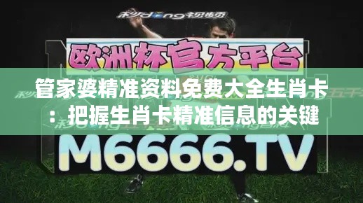 管家婆精準(zhǔn)資料免費(fèi)大全生肖卡：把握生肖卡精準(zhǔn)信息的關(guān)鍵