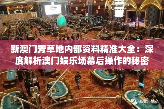 新澳門芳草地內(nèi)部資料精準(zhǔn)大全：深度解析澳門娛樂場幕后操作的秘密