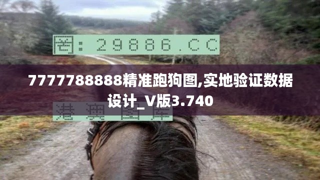 7777788888精準(zhǔn)跑狗圖,實(shí)地驗(yàn)證數(shù)據(jù)設(shè)計(jì)_V版3.740