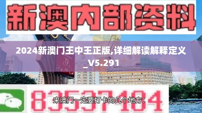 2024新澳門王中王正版,詳細解讀解釋定義_V5.291