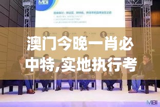 澳門今晚一肖必中特,實(shí)地執(zhí)行考察數(shù)據(jù)_Harmony款6.196