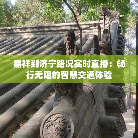 嘉祥到濟(jì)寧路況實(shí)時(shí)直播：暢行無(wú)阻的智慧交通體驗(yàn)