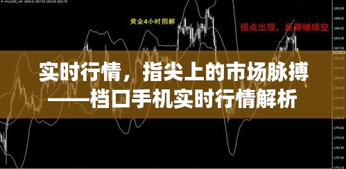 實時行情，指尖上的市場脈搏——檔口手機實時行情解析