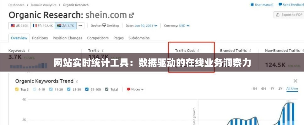 網(wǎng)站實(shí)時(shí)統(tǒng)計(jì)工具：數(shù)據(jù)驅(qū)動(dòng)的在線業(yè)務(wù)洞察力