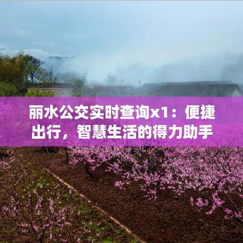 麗水公交實(shí)時(shí)查詢(xún)x1：便捷出行，智慧生活的得力助手