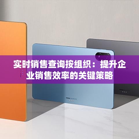 實(shí)時(shí)銷售查詢按組織：提升企業(yè)銷售效率的關(guān)鍵策略