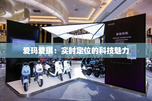 愛瑪愛琪：實(shí)時(shí)定位的科技魅力