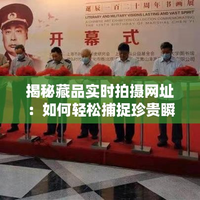 揭秘藏品實(shí)時拍攝網(wǎng)址：如何輕松捕捉珍貴瞬間