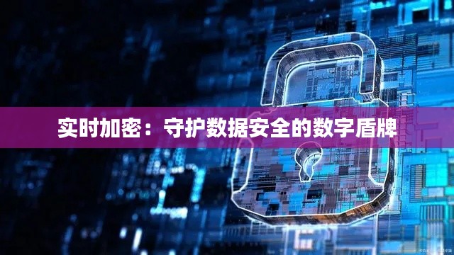 實(shí)時(shí)加密：守護(hù)數(shù)據(jù)安全的數(shù)字盾牌