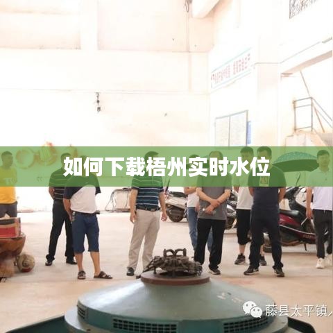 如何下載梧州實時水位