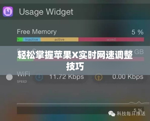 輕松掌握蘋果X實(shí)時(shí)網(wǎng)速調(diào)整技巧