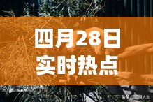 四月28日實時熱點：聚焦時事動態(tài)，洞察社會脈動