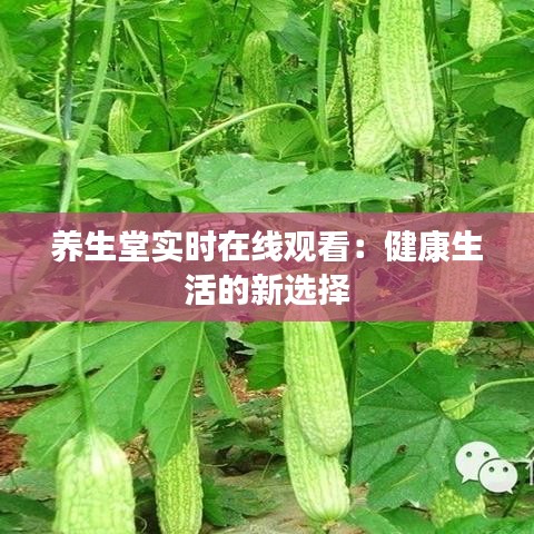 養(yǎng)生堂實(shí)時(shí)在線觀看：健康生活的新選擇