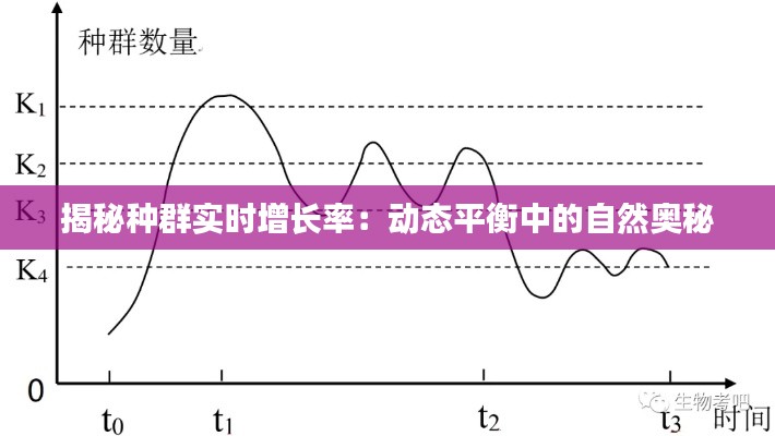 揭秘種群實(shí)時(shí)增長(zhǎng)率：動(dòng)態(tài)平衡中的自然奧秘