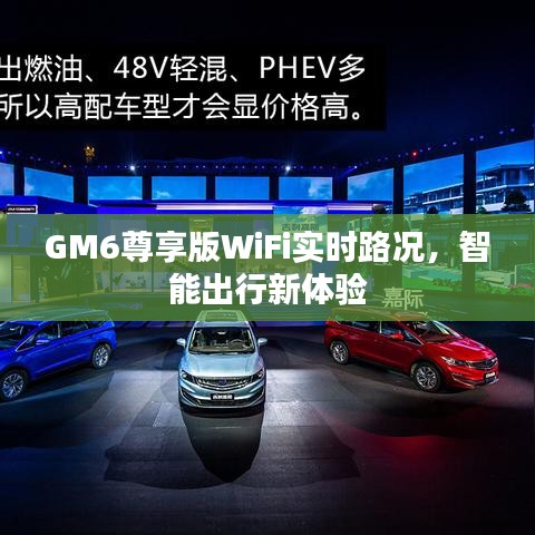GM6尊享版WiFi實(shí)時(shí)路況，智能出行新體驗(yàn)