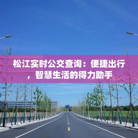 松江實時公交查詢：便捷出行，智慧生活的得力助手