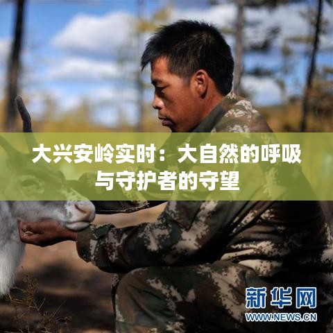 大興安嶺實時：大自然的呼吸與守護(hù)者的守望