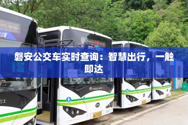 磐安公交車實(shí)時查詢：智慧出行，一觸即達(dá)
