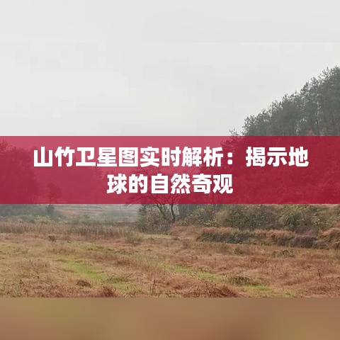 山竹衛(wèi)星圖實時解析：揭示地球的自然奇觀