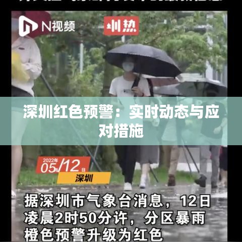 深圳紅色預(yù)警：實時動態(tài)與應(yīng)對措施