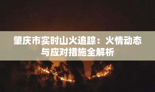肇慶市實時山火追蹤：火情動態(tài)與應對措施全解析