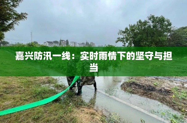 嘉興防汛一線：實(shí)時(shí)雨情下的堅(jiān)守與擔(dān)當(dāng)