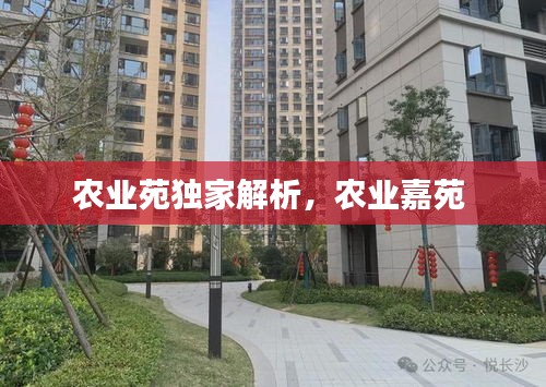 農(nóng)業(yè)苑獨(dú)家解析，農(nóng)業(yè)嘉苑 