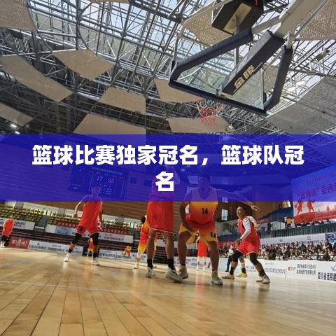 籃球比賽獨(dú)家冠名，籃球隊(duì)冠名 