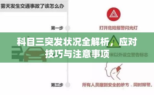 科目三突發(fā)狀況全解析，應(yīng)對(duì)技巧與注意事項(xiàng)