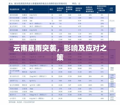 云南暴雨突襲，影響及應(yīng)對之策