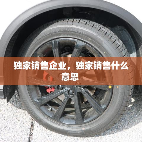 獨家銷售企業(yè)，獨家銷售什么意思 