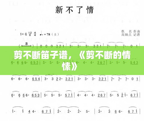 剪不斷笛子譜，《剪不斷的情愫》 
