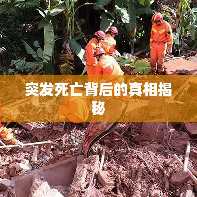 突發(fā)死亡背后的真相揭秘