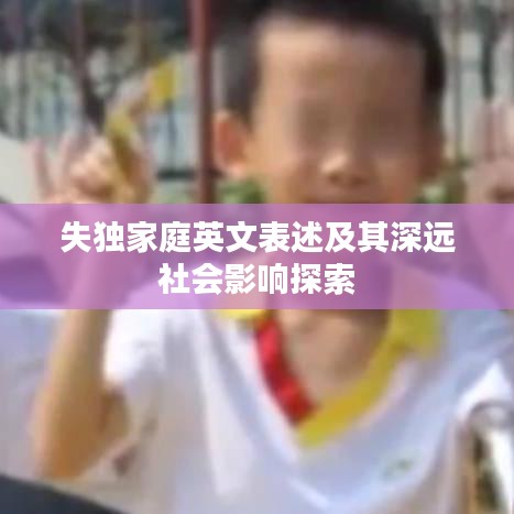 失獨(dú)家庭英文表述及其深遠(yuǎn)社會(huì)影響探索