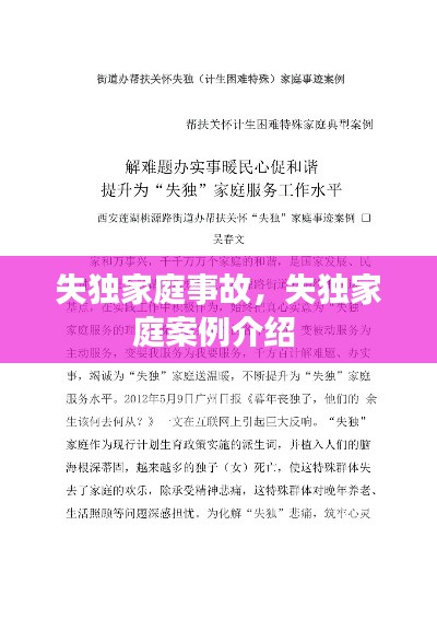 失獨(dú)家庭事故，失獨(dú)家庭案例介紹 