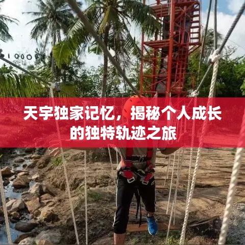 天宇獨家記憶，揭秘個人成長的獨特軌跡之旅