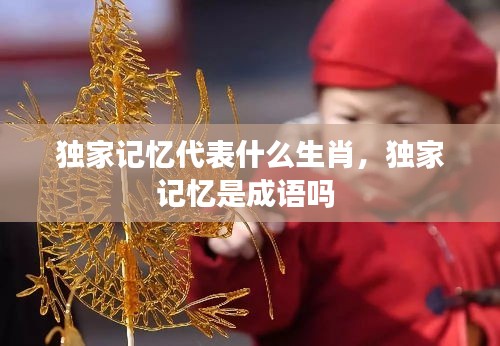 獨家記憶代表什么生肖，獨家記憶是成語嗎 