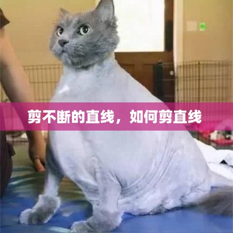 剪不斷的直線，如何剪直線 