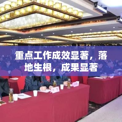 重點(diǎn)工作成效顯著，落地生根，成果顯著
