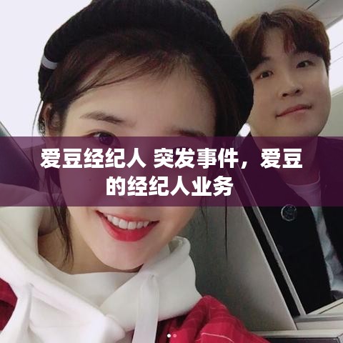 愛豆經(jīng)紀人 突發(fā)事件，愛豆的經(jīng)紀人業(yè)務 