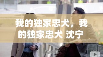我的獨家忠犬，我的獨家忠犬 沈?qū)?