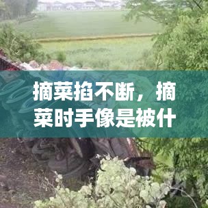 不期而遇 第2頁