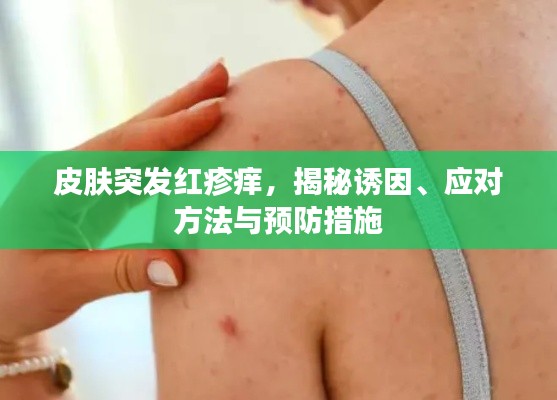 皮膚突發(fā)紅疹癢，揭秘誘因、應(yīng)對方法與預(yù)防措施