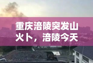 重慶涪陵突發(fā)山火卜，涪陵今天火災(zāi)2021 