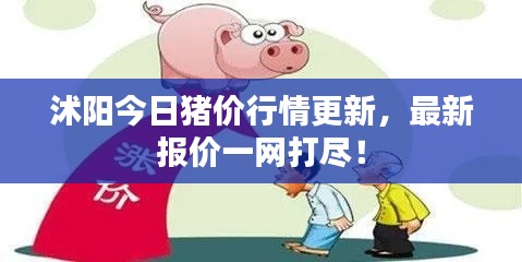 沭陽今日豬價(jià)行情更新，最新報(bào)價(jià)一網(wǎng)打盡！