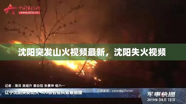 沈陽突發(fā)山火視頻最新，沈陽失火視頻 
