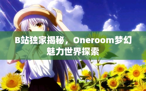B站獨(dú)家揭秘，Oneroom夢(mèng)幻魅力世界探索